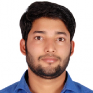 Ankit Kumar Singh-Freelancer in ,India
