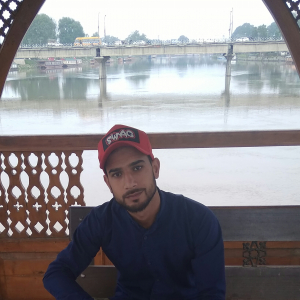 Tawheed Shah-Freelancer in Srinagar,India