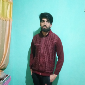 Zahid Mir-Freelancer in Srinagar,India