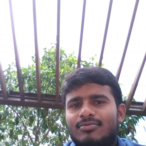 Raman Reddy-Freelancer in Visakhapatnam,India