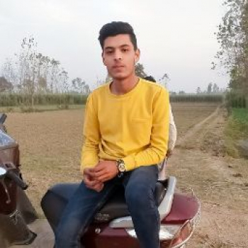 Mashahir Hussain-Freelancer in Roorkee ,India