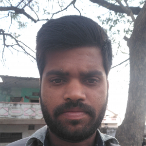 Avusula Nareshkumar-Freelancer in Tandur,India