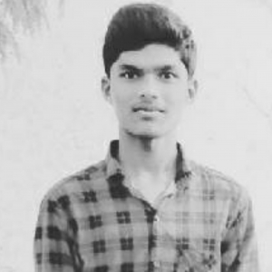 Rayudu Atluru-Freelancer in BADVEL,India