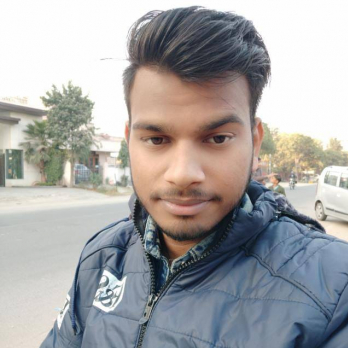 Ankit Suiwal-Freelancer in Kota,India