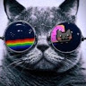 Truelancer profile picture for @dia