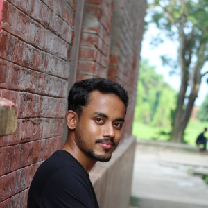 Nilanjan Ghosh-Freelancer in Maldah,India