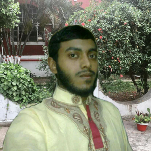Mozaherul Islam-Freelancer in Chittagong,Bangladesh