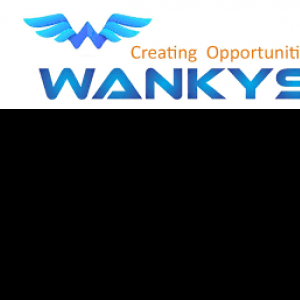 Wankys Soft-Freelancer in bangalore,India