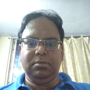 Srini Vasan-Freelancer in Chennai,India