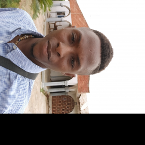 Olusegun Aborode-Freelancer in Lagos,Nigeria