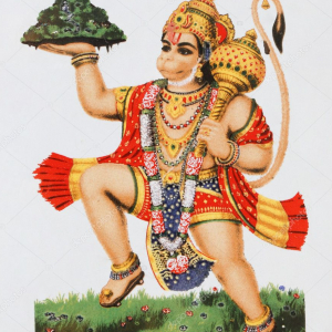Ronakkumar Maheshbhai Patel-Freelancer in Ahmedabad,India
