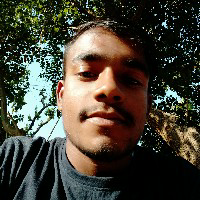 Biswa Roy-Freelancer in Betai Jitpur,India