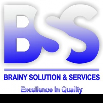 Brainy Service-Freelancer in Ahmedabad,India