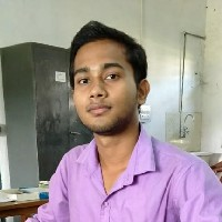 Nikhil Majumdar-Freelancer in ,India