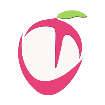 Licchi Technology-Freelancer in Delhi,India