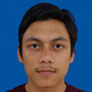 Muhammad Mirza Kamaludin-Freelancer in Kajang,Malaysia