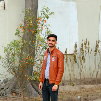 Ahtsham Ali-Freelancer in Lahore,Pakistan