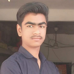 Sumit Prajapati-Freelancer in khategaon,India