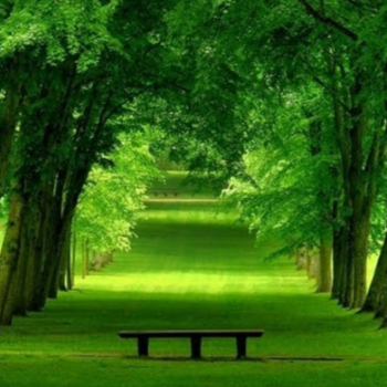 Jay Sharma-Freelancer in ,India