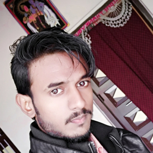 Ravi Ranjan-Freelancer in Muzaffarpur, Bihar, 843119,India