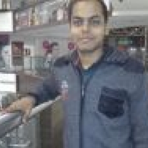 Mayank Garg-Freelancer in Mohali,India
