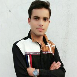 Arif Ali -Freelancer in Lucknow ,India