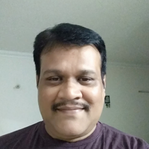 Swaminathan Gopalakrishnan-Freelancer in Bengaluru,India