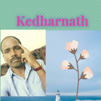 Pkedharnath P-Freelancer in Ahmedabad,India