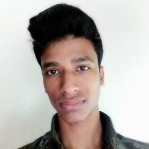 Palash Ray-Freelancer in ,India