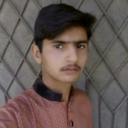 CH Shahbaz Ali-Freelancer in Multan,Pakistan