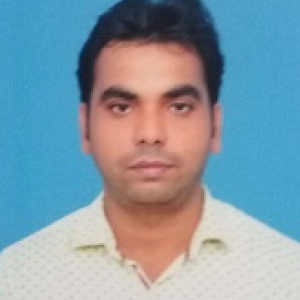 Dharmendra Kumar-Freelancer in Chennai,India