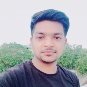Sumit Kumar-Freelancer in New Delhi,India