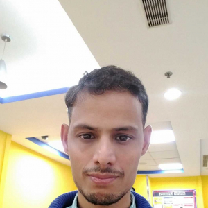 Narendra Rawat-Freelancer in ,India