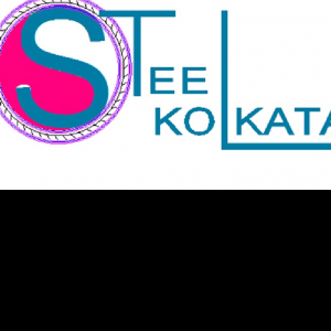 Steel Kolkata Consultancy Services-Freelancer in ,India