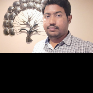 Pramod Kumar Medipelli-Freelancer in ,India