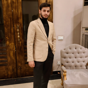 Ahmad Raza (ACCA finalist)-Freelancer in Lahore,Pakistan