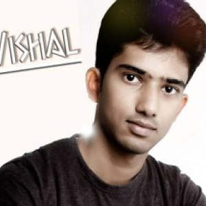 Vishal D-Freelancer in Bengaluru,India