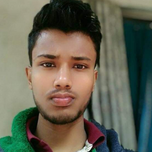 Debasis Manik-Freelancer in ,India