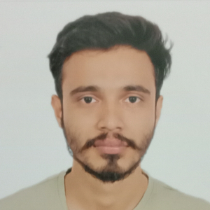 Prithvi Ojha-Freelancer in Bengaluru,India