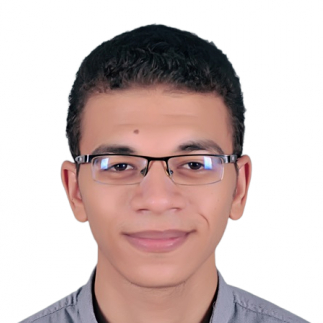 Muhammad Lotfy Esmaeel-Freelancer in Sohag,Egypt