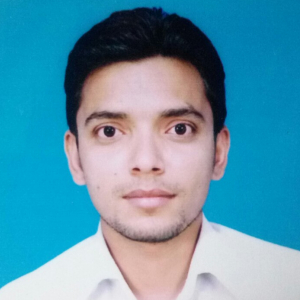 Md Anwar Ali-Freelancer in MUZAFFARPUR BIHAR,India