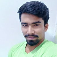 Sunil Kumar Panda-Freelancer in Digapahandi,India