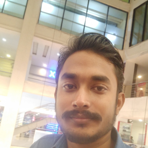 Niraj Kumar Singh Solanki-Freelancer in Patna,India