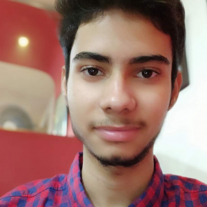 Arav Tiwari-Freelancer in Delhi,India