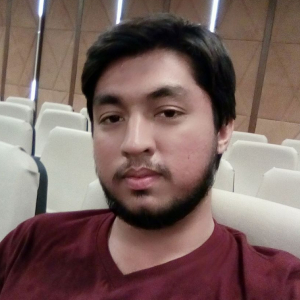 Aashir Aziz-Freelancer in Multan,Pakistan