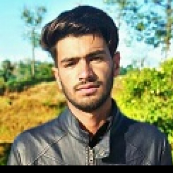 Liyakat Ali-Freelancer in Chamba,India