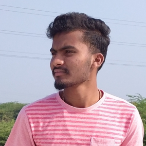 Nithish Muddangula-Freelancer in Warangal,India