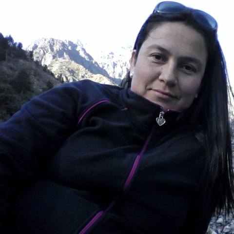 Carolina Ramirez Olivos-Freelancer in Curicó,Chile