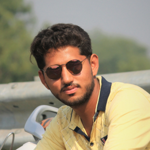 Sahil Rajput-Freelancer in Amravati,India