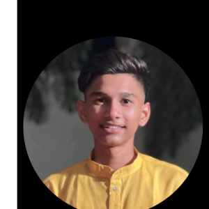 Vedant Borawake-Freelancer in ,India